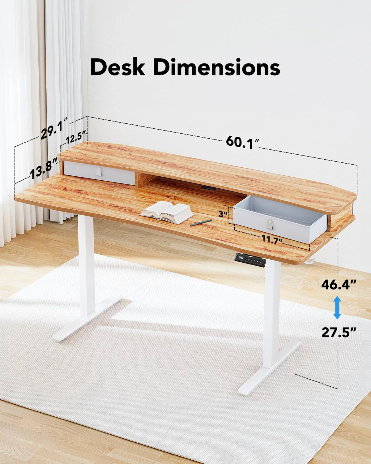 Kyspho Electric Height Adjustable Standing Desk With Dual Drawers