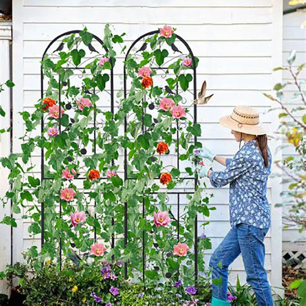 Metal Garden Trellis Fence For Climbing Plants Anti Rust Border