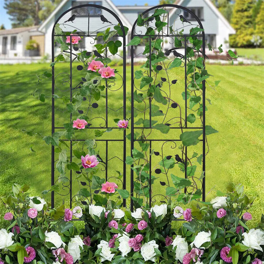 Rust Resistant Metal Garden Trellis Fence For Climbing Plants
